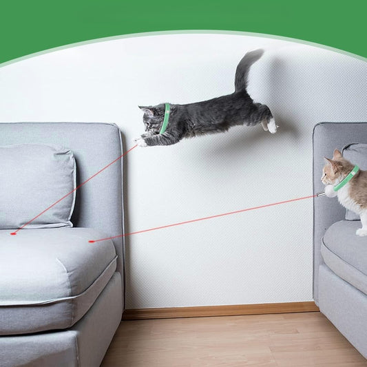 Jucărie Laser pentru Pisici